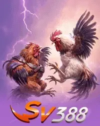 SV388 ที่ pgpang555